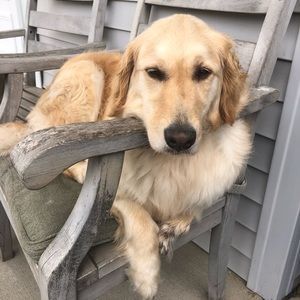 Meet your Posher, Jill